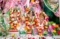 Daily Darshan