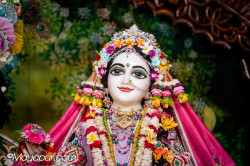 Daily Darshan