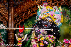Daily Darshan