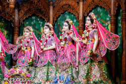 Daily Darshan