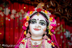Daily Darshan