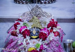 Daily Darshan