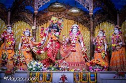 Daily Darshan