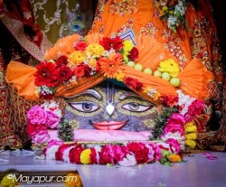 Daily Darshan