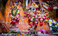 Daily Darshan