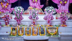 Daily Darshan