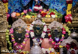 Daily Darshan