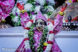 Daily Darshan
