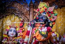 Daily Darshan