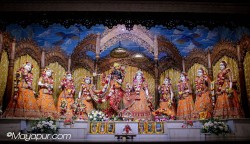 Daily Darshan