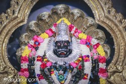 Daily Darshan