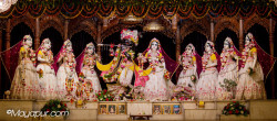 Daily Darshan