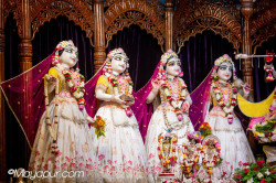 Daily Darshan