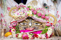 Daily Darshan