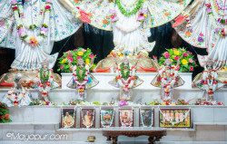 Daily Darshan