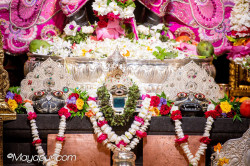 Daily Darshan