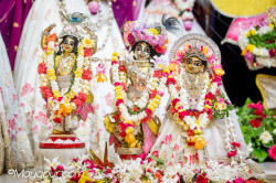 Daily Darshan