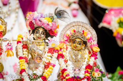 Daily Darshan