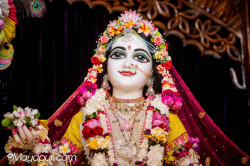 Daily Darshan