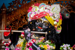 Daily Darshan