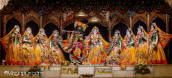 Daily Darshan