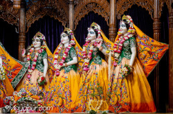Daily Darshan