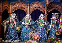 Daily Darshan