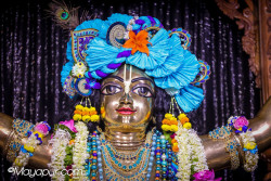 Daily Darshan