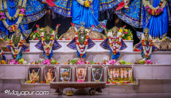 Daily Darshan