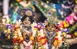 Daily Darshan