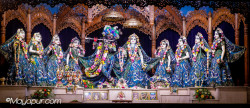 Daily Darshan