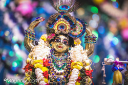 Daily Darshan