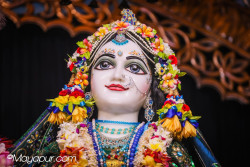Daily Darshan