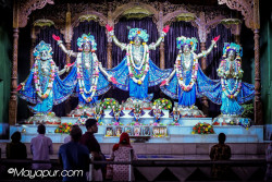 Daily Darshan