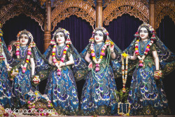 Daily Darshan