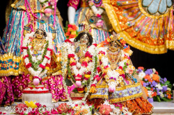 Daily Darshan