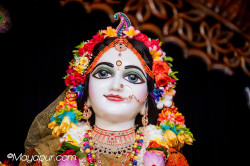 Daily Darshan