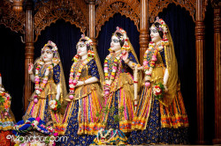 Daily Darshan