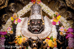 Daily Darshan