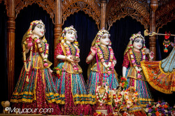 Daily Darshan