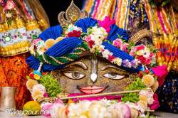 Daily Darshan