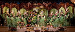 Daily Darshan