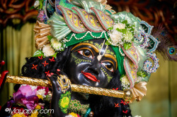 Daily Darshan