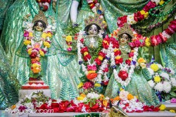 Daily Darshan