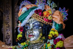 Daily Darshan