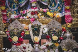 Daily Darshan