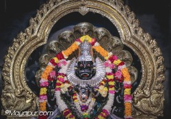 Daily Darshan