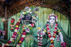 Daily Darshan