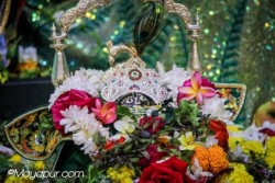 Daily Darshan