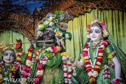 Daily Darshan
